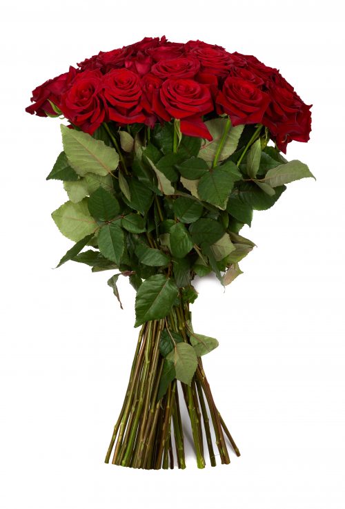 Bouquet de roses rouges longues tiges 70 cm