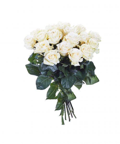 Bouquet de roses blanches longues tiges 70 cm