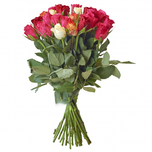 Bouquet de roses multicolores longues tiges 70 cm