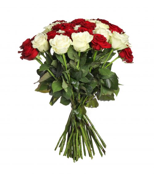 Bouquet de roses rouges et blanches longues tiges 70 cm